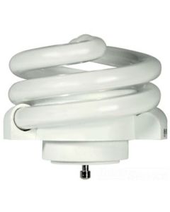 Fluorescent Lamp