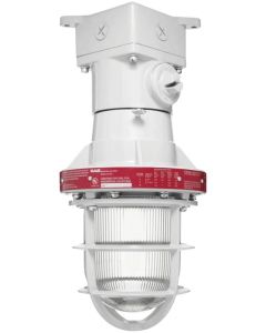 Explosionproof Incandescent Fixture
